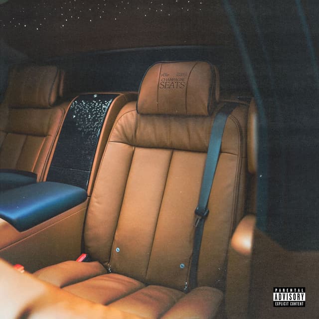 Champagne Seats cover