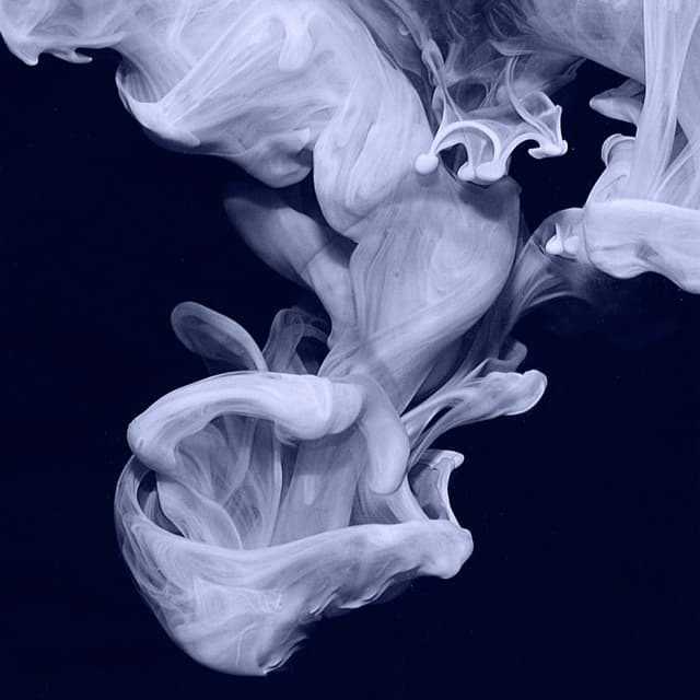 Hey Sister (single version) cover