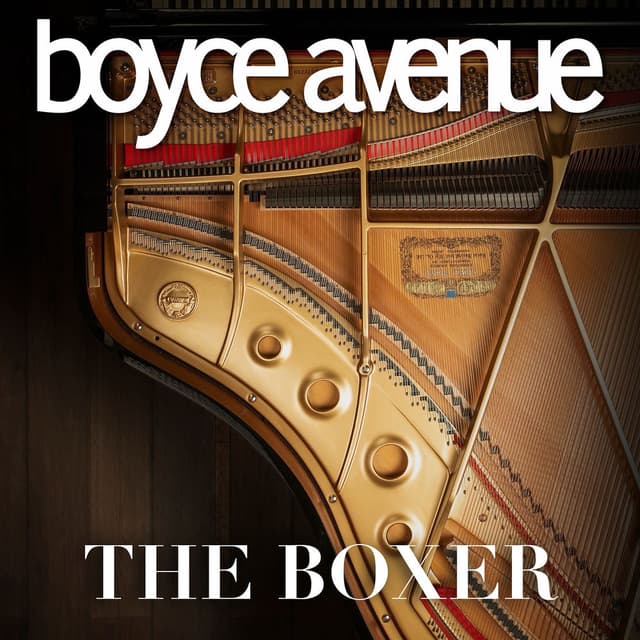 The Boxer cover