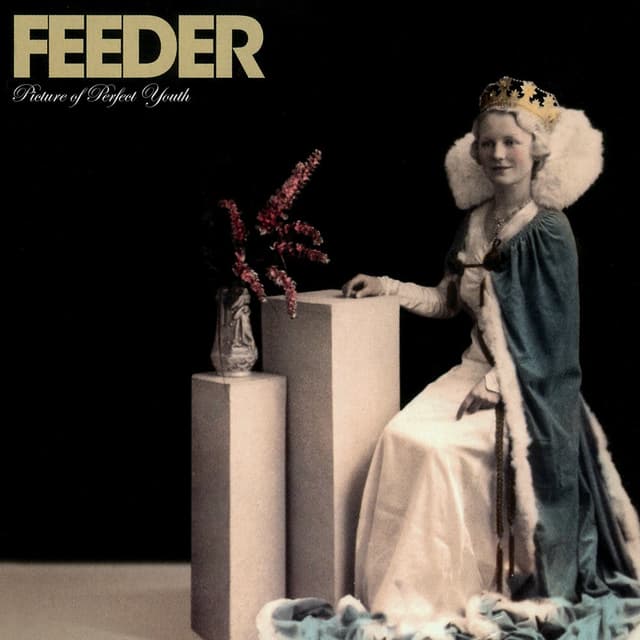 Picture of Perfect Youth cover
