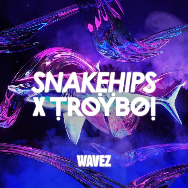 Wavez cover