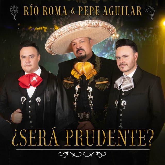 ¿Será Prudente? cover