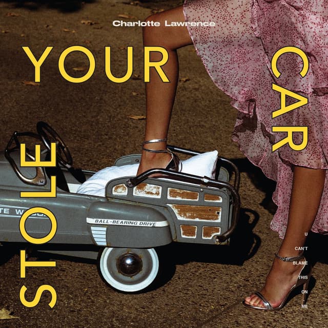 Stole Your Car cover