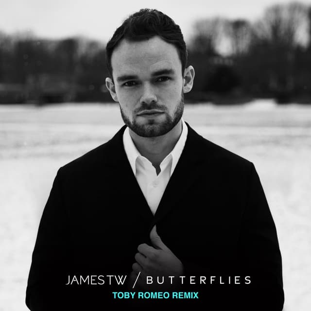 Butterflies (Toby Romeo Remix) cover
