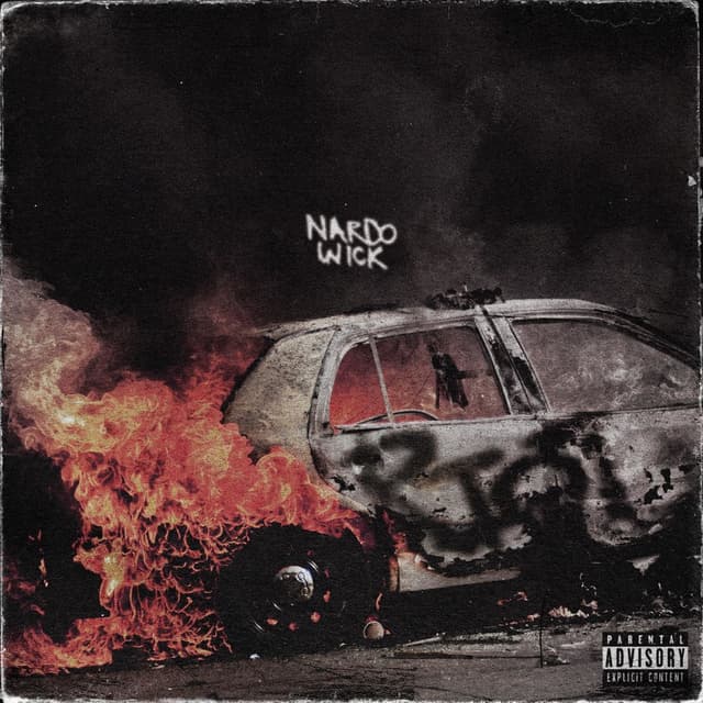 Riot cover