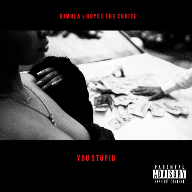 You Stupid cover