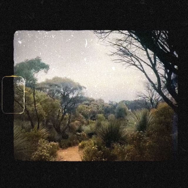 Wither cover