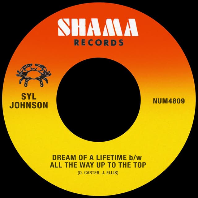 Dream Of A Lifetime b/w All The Way Up To The Top cover