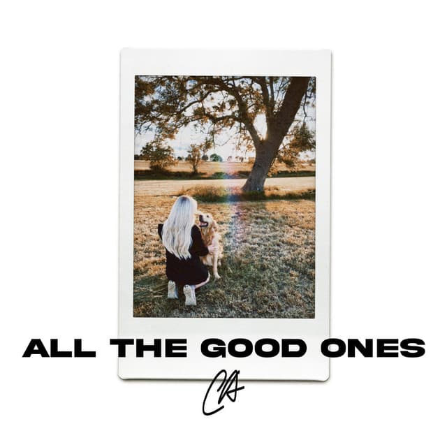 All The Good Ones cover