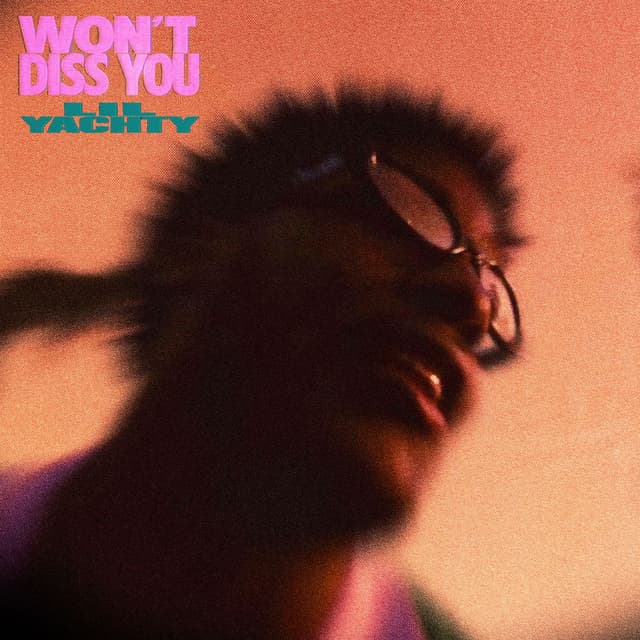 Won't Diss You cover