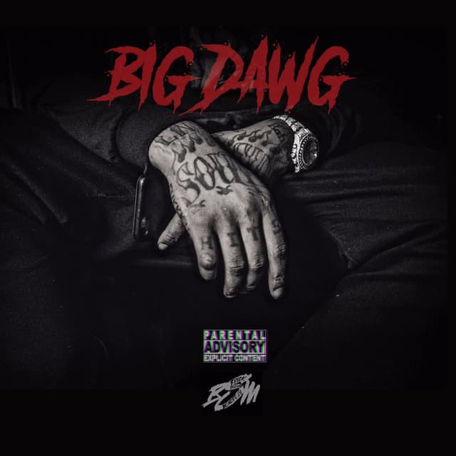 Big Dawg cover