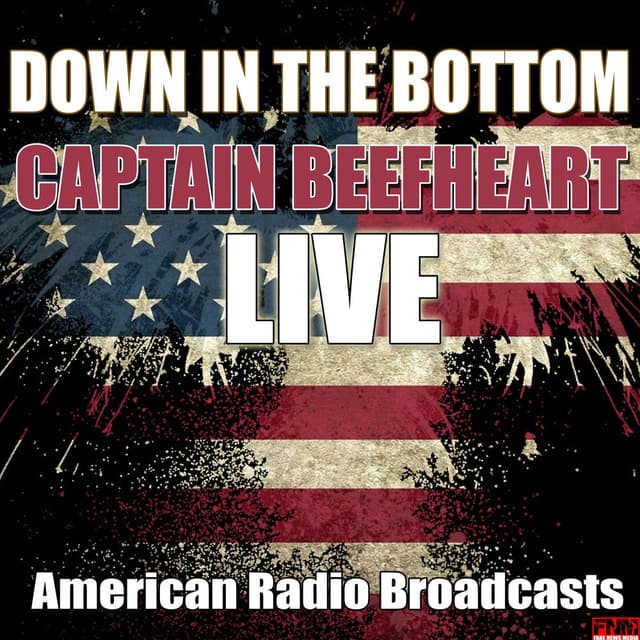 Down In The Bottom (Live) album cover