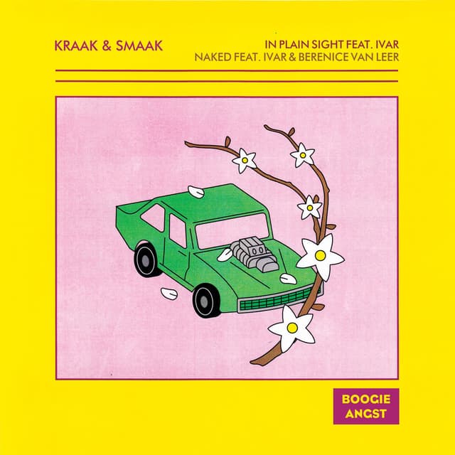 In Plain Sight / Naked cover