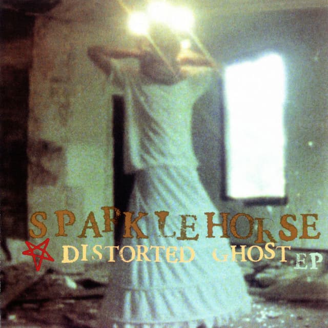 Distorted Ghost cover