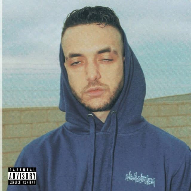 Avida Dollars album cover