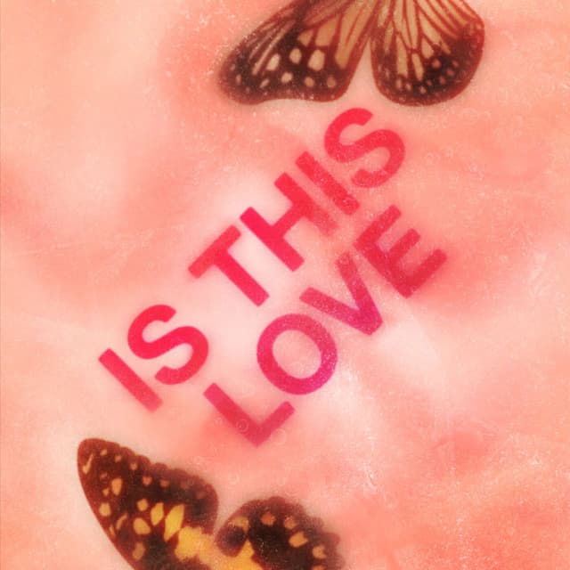Is This Love cover