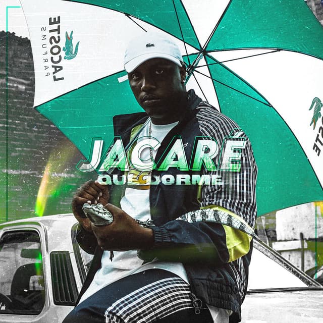 Jacaré Que Dorme cover