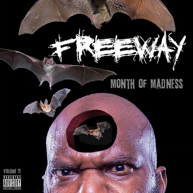 Month of Madness, Vol. 11 cover