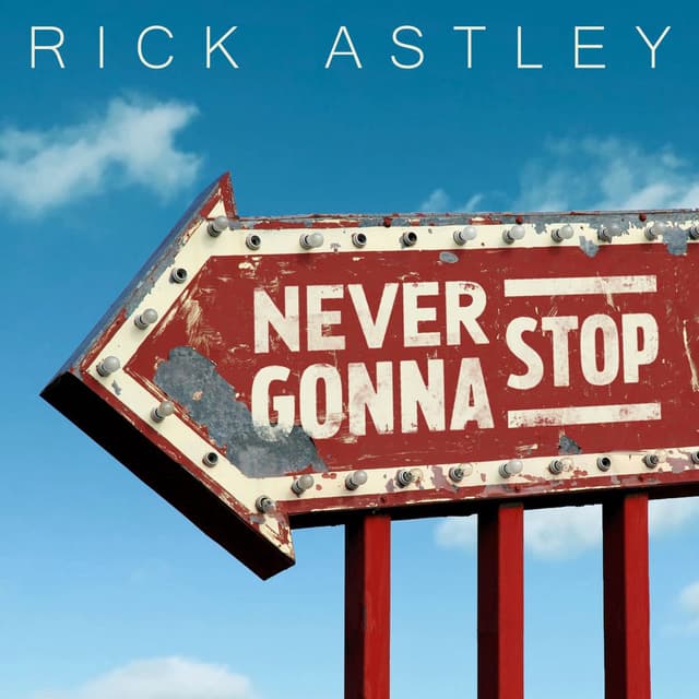 Never Gonna Stop cover