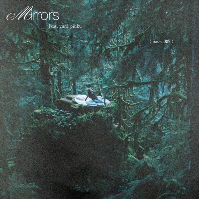 Mirrors cover