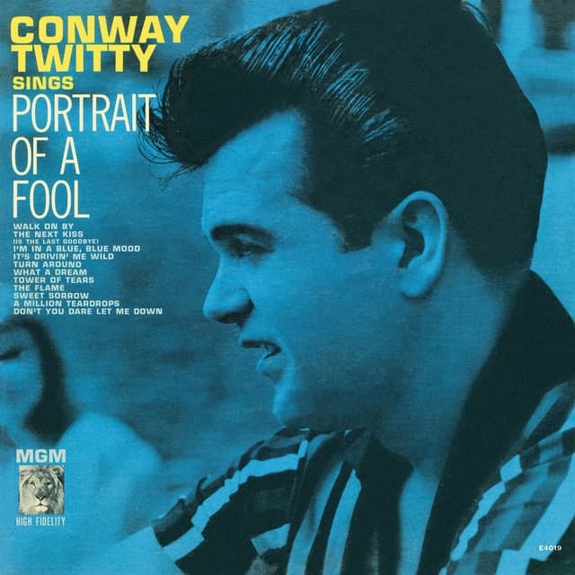 Portrait Of A Fool cover
