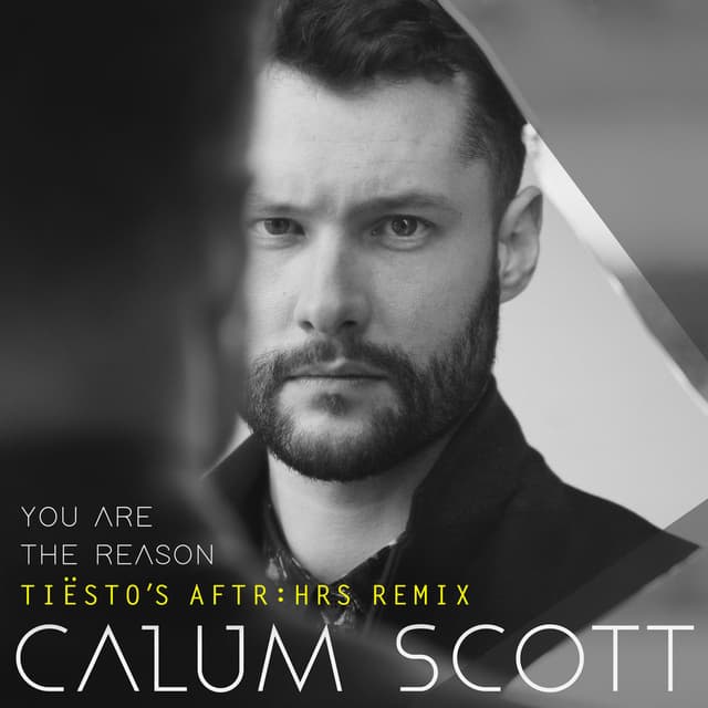 You Are The Reason (Tiësto's AFTR:HRS Remix) cover