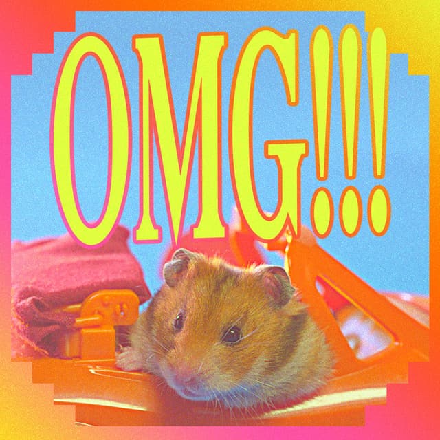 OMG!!! cover