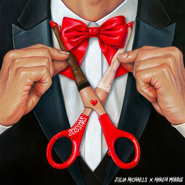 Scissors cover