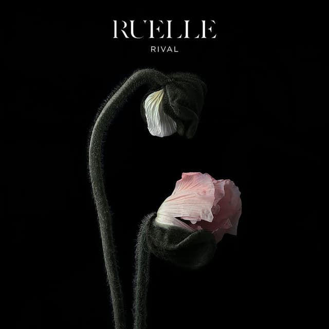Rival cover