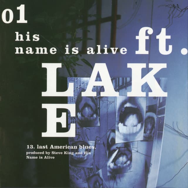 Ft. Lake cover