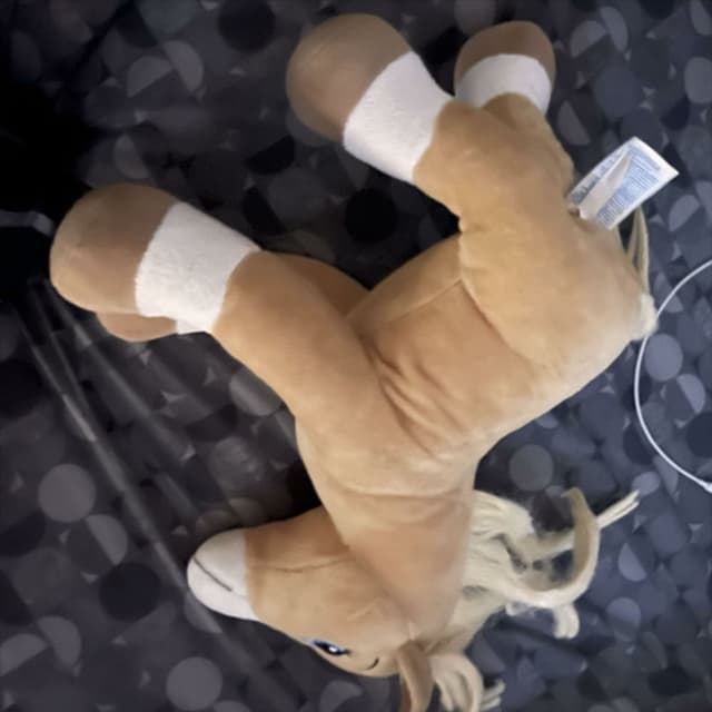 Catty cover