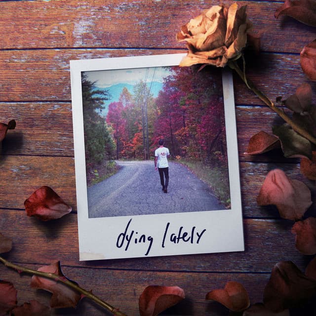 dying lately cover