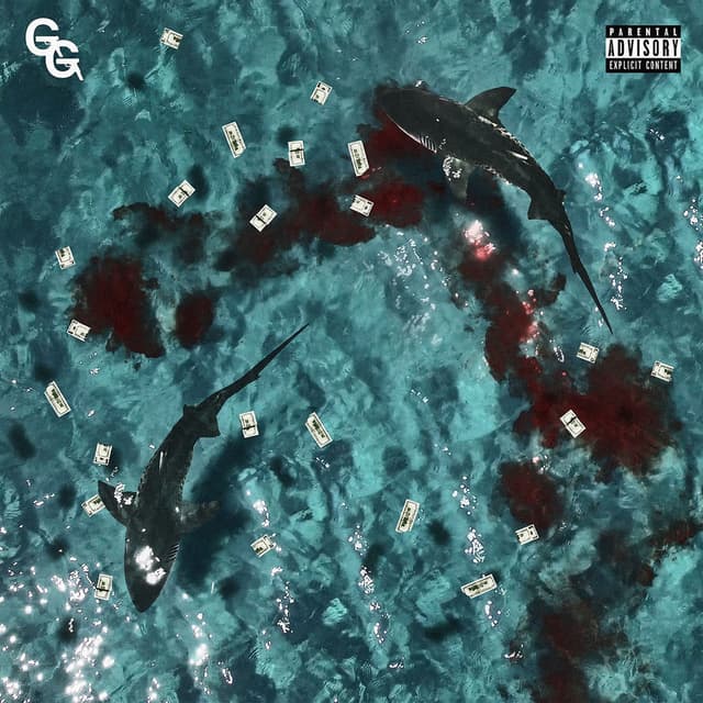 Don’t Feed The Sharks cover