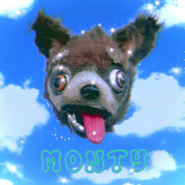 monty (^ᴥ^) cover