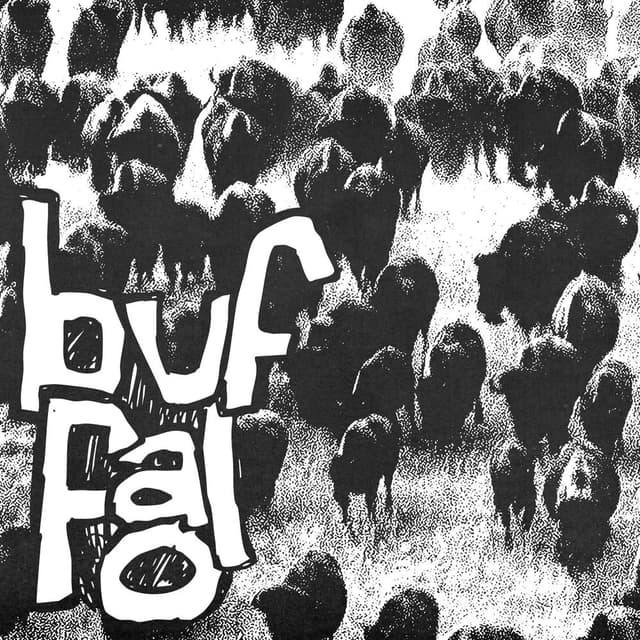 Buffalo cover