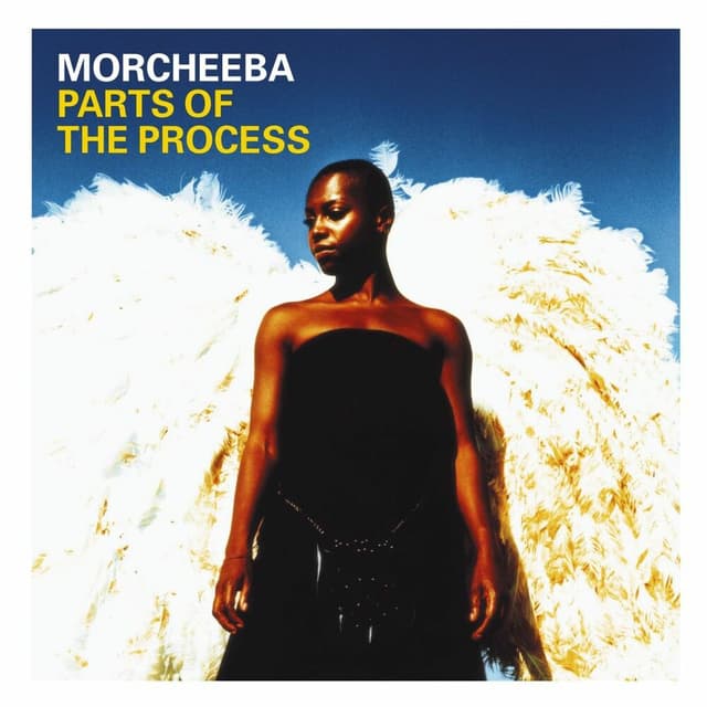 Parts of the Process cover