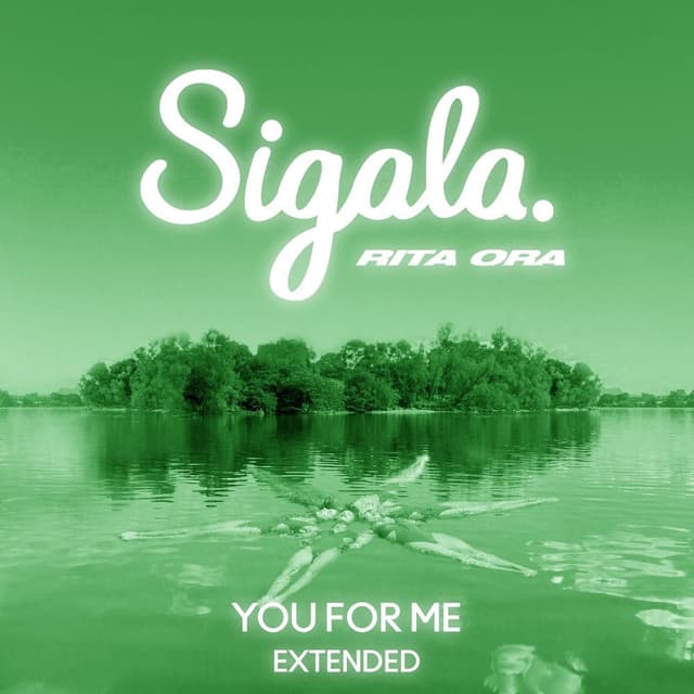 You for Me (Extended) cover