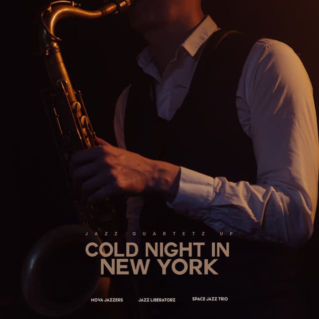 Cold Night in New York cover