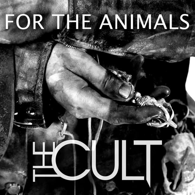 For the Animals cover