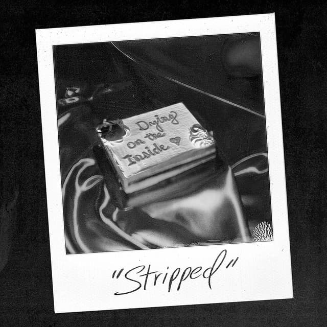 dying on the inside (stripped) cover
