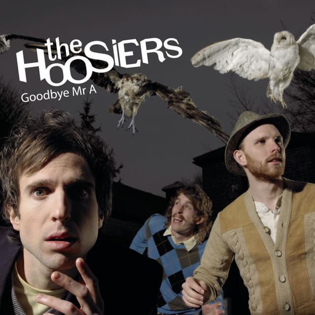 Goodbye Mr A (Radio Edit) cover