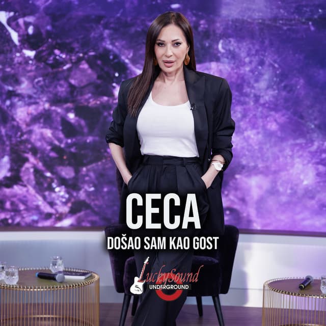 Dosao sam kao gost cover