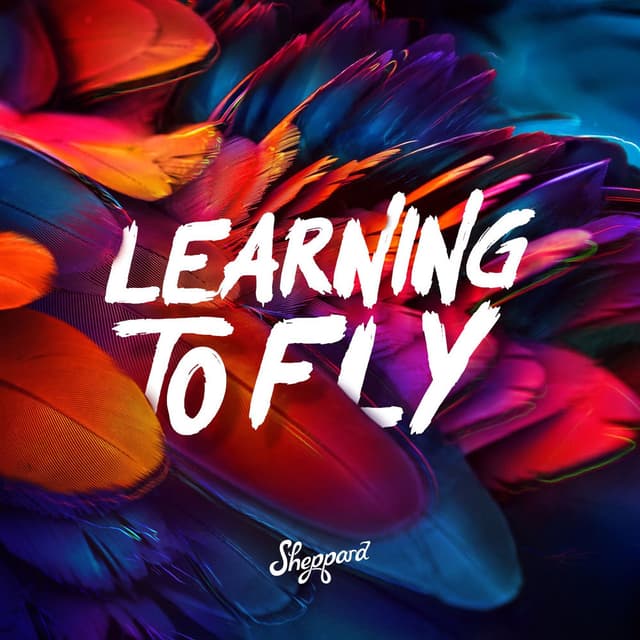 Learning To Fly cover