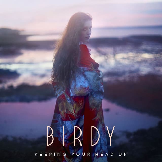 Keeping Your Head Up cover
