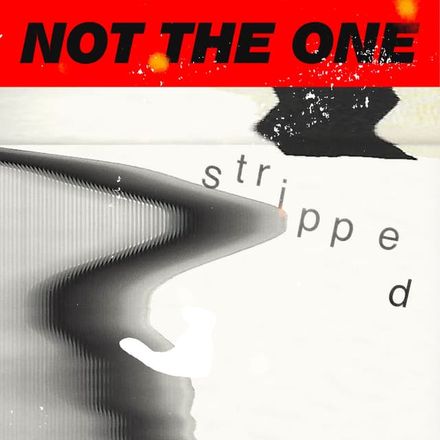 Not The One (Stripped) cover