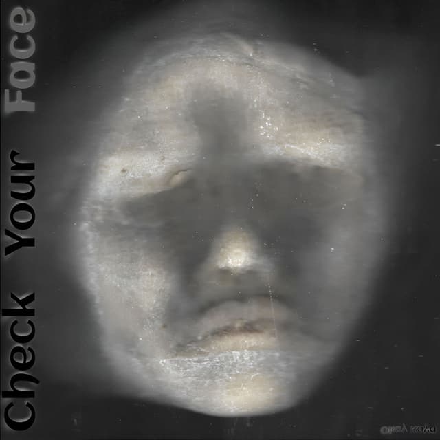 Check Your Face cover