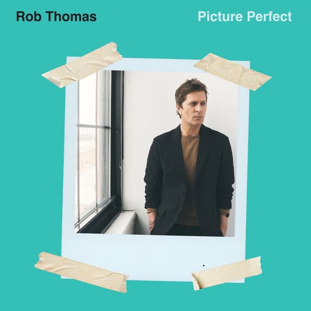 Picture Perfect cover