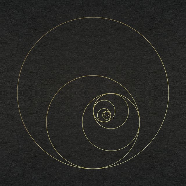 Phanerozoic Live cover
