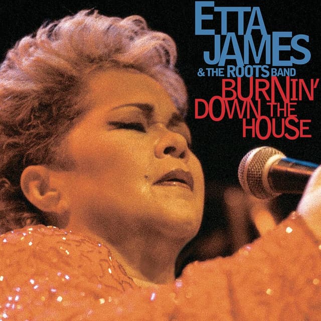 Burnin' Down The House cover