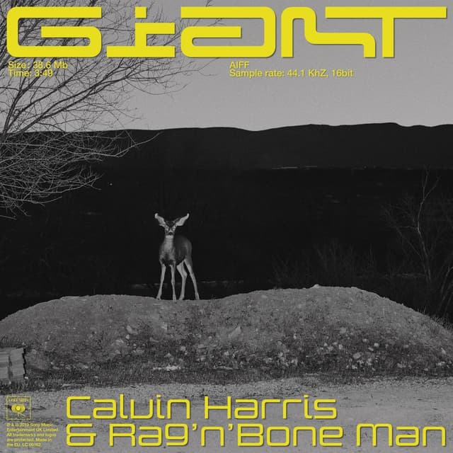 Giant cover
